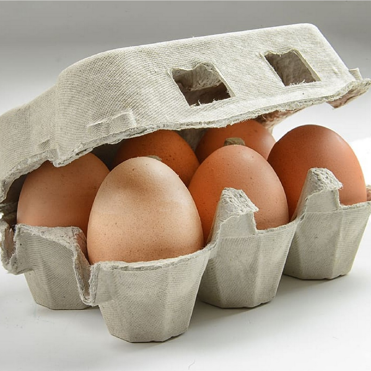 Free Range Eggs XL
